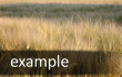 example