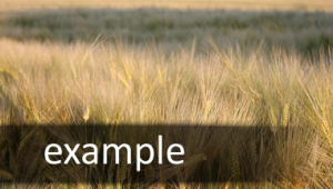 example
